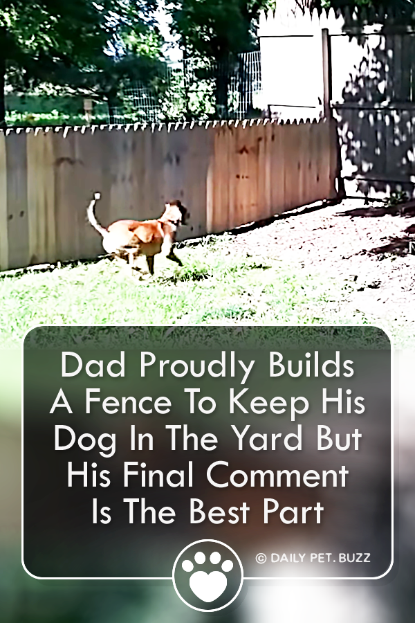 Dad Proudly Builds A Fence To Keep His Dog In The Yard But His Final Comment Is The Best Part
