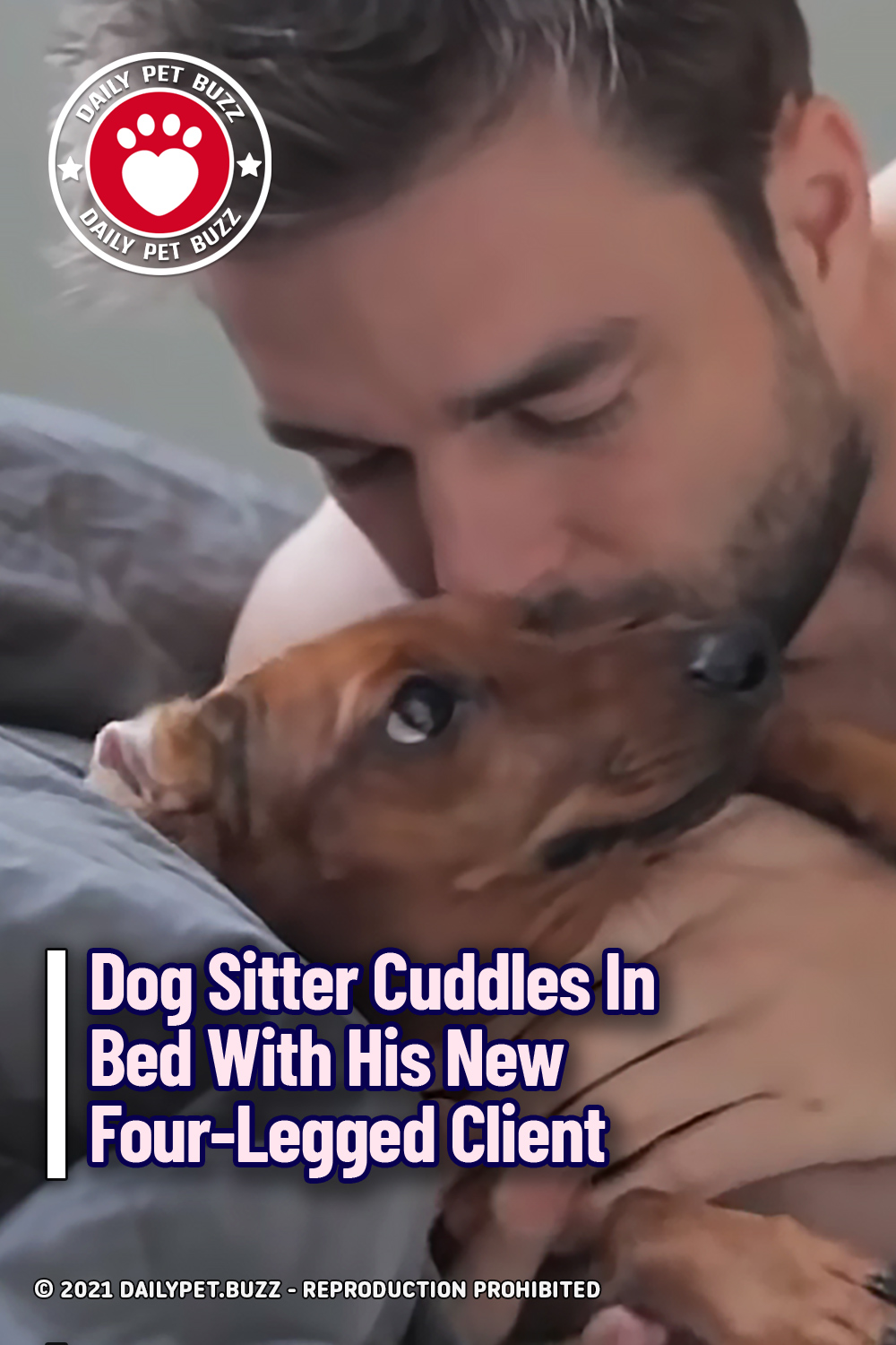 Dog Sitter Cuddles In Bed With His New Four-Legged Client