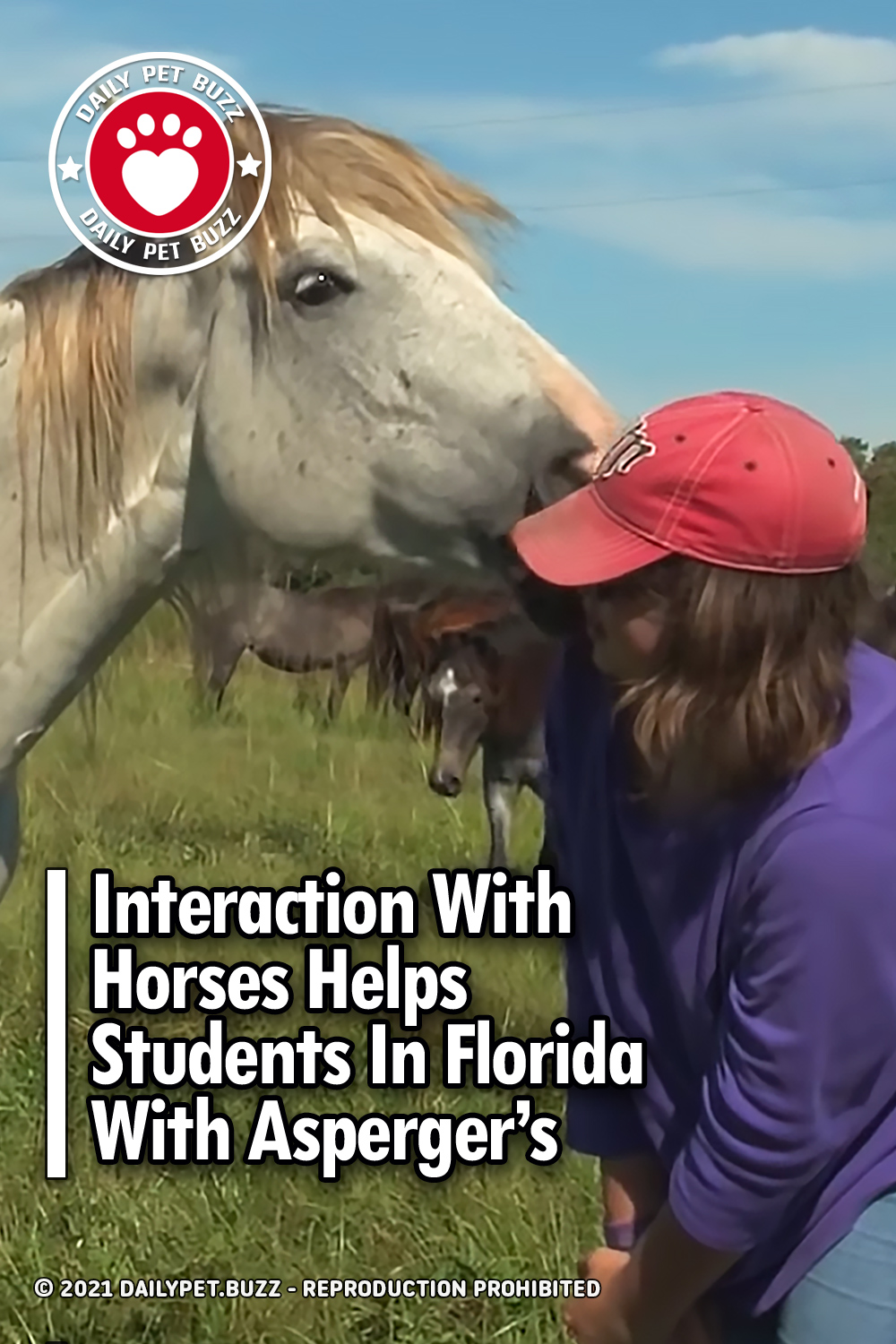Interaction With Horses Helps Students In Florida With Asperger\'s