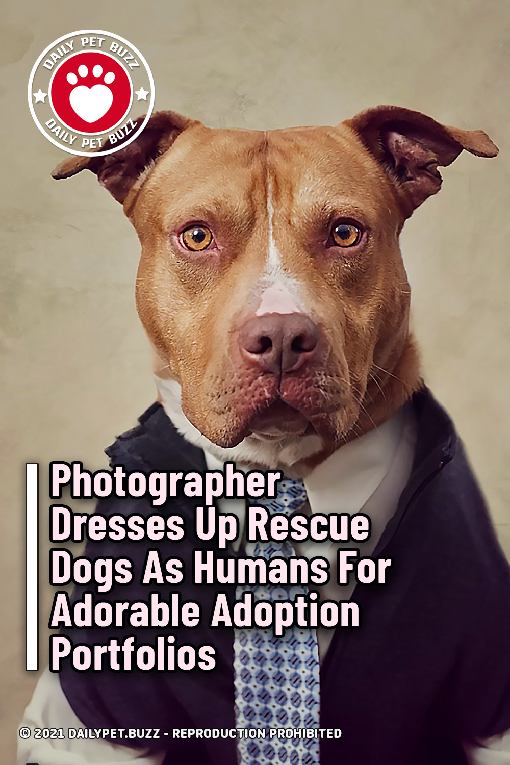 Photographer Dresses Up Rescue Dogs As Humans For Adorable Adoption Portfolios