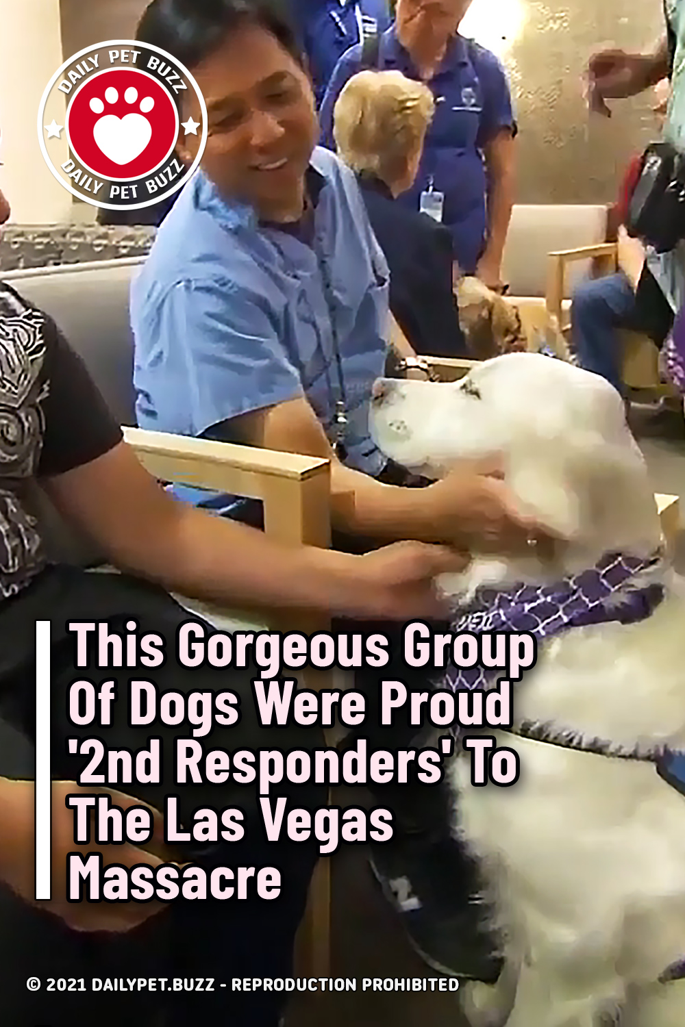 This Gorgeous Group Of Dogs Were Proud \'2nd Responders\' To The Las Vegas Massacre