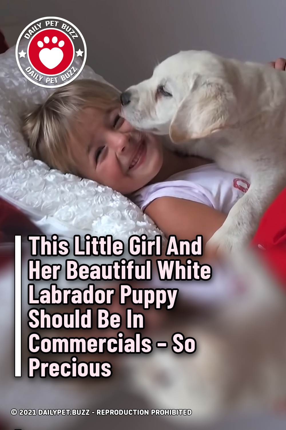 This Little Girl And Her Beautiful White Labrador Puppy Should Be In Commercials – So Precious
