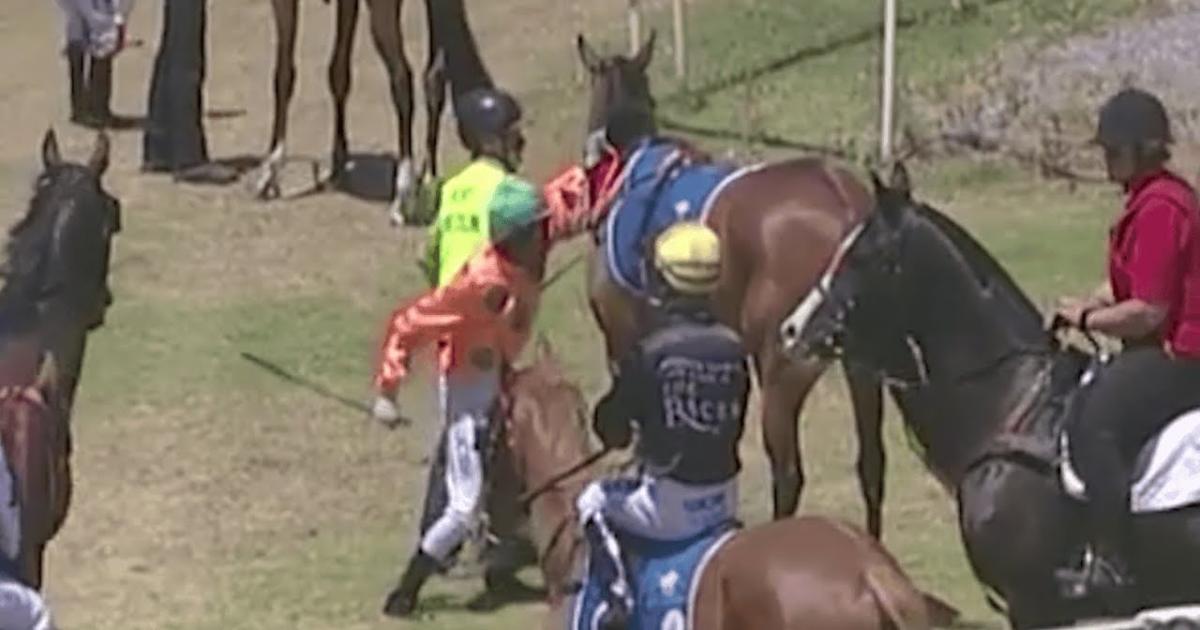 Enraged Jockey Punches Horse Animal Lovers Outraged By His Light