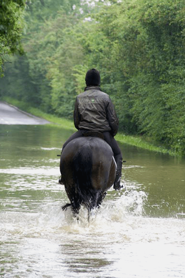 24158-Pinset-This-Family-Of-Cowboys-Risked-It-All-To-Save-31-Horses-About-To-Drown-In-A-Flood