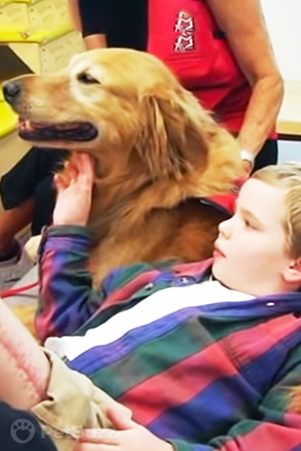 5108-Pinset-They-Thought-Their-Boy-Would-Never-Recover.-But-Watch-How-This-Therapy-Dog-Helped-Their-Son