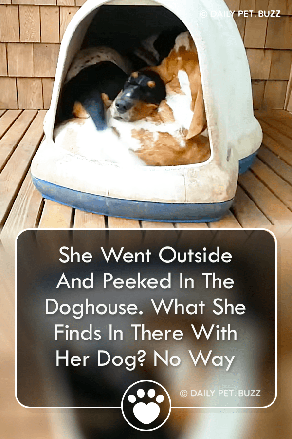 She Went Outside And Peeked In The Doghouse. What She Finds In There With Her Dog? No Way
