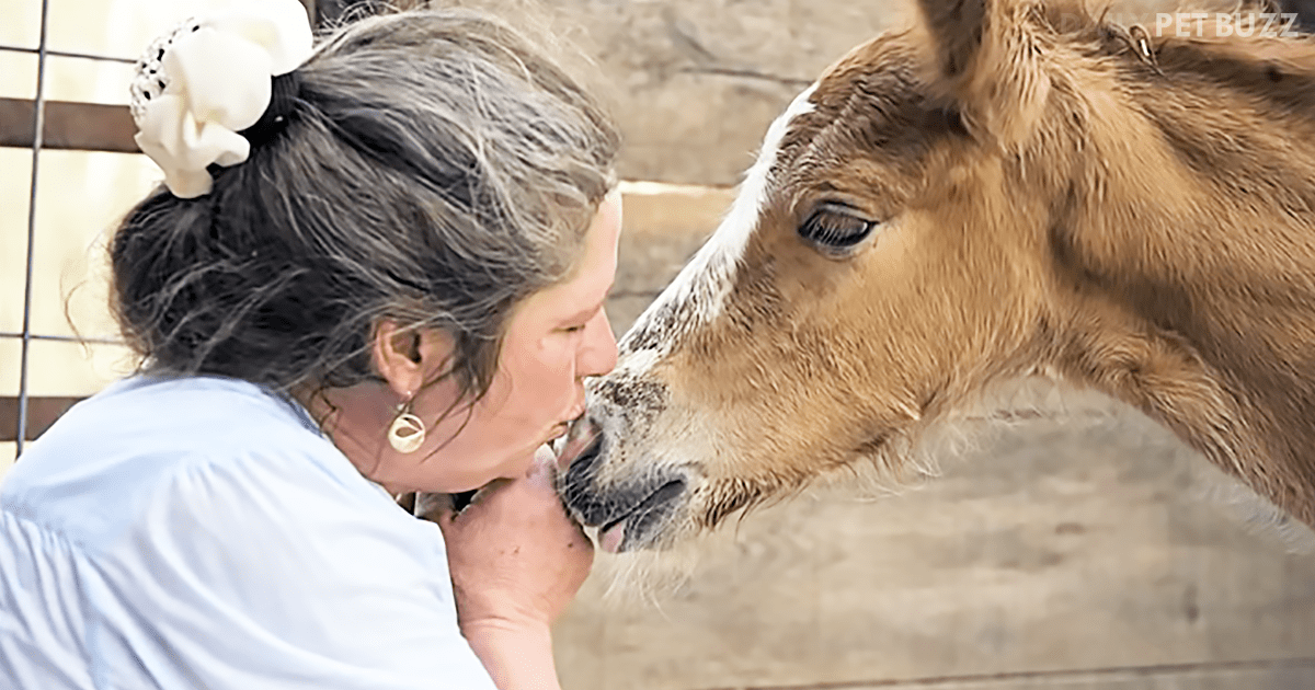 Victoria Goss Started Rescuing Horses When She Was 12 And Hasn't Stopped