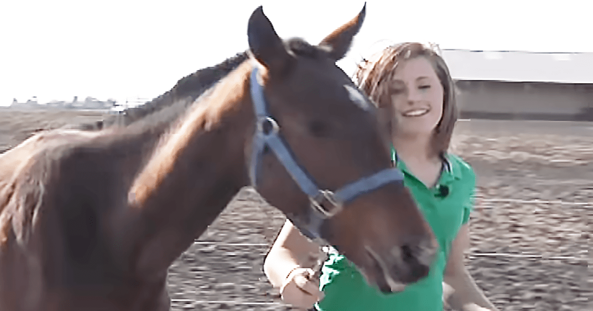 A Chance Encounter On A Country Road, Changed The Lives Of This Young Lady And A Starving Horse