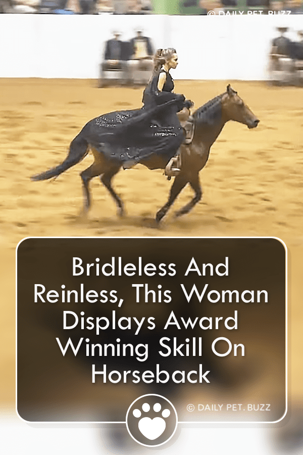 Bridleless And Reinless, This Woman Displays Award Winning Skill On Horseback