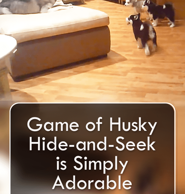 Pinterest Hidden Image