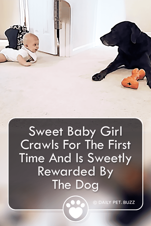 Sweet Baby Girl Crawls For The First Time And Is Sweetly Rewarded By The Dog