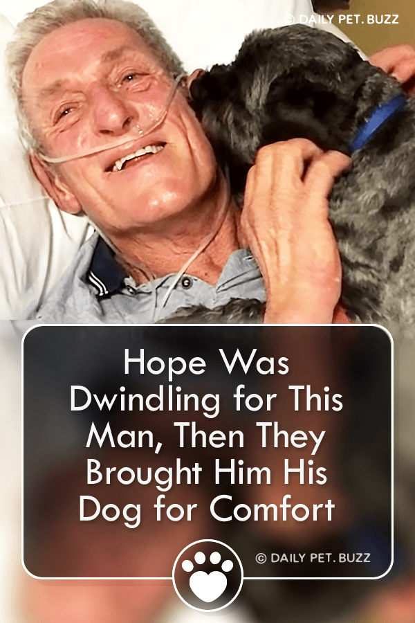 Hope Was Dwindling for This Man, Then They Brought Him His Dog for Comfort
