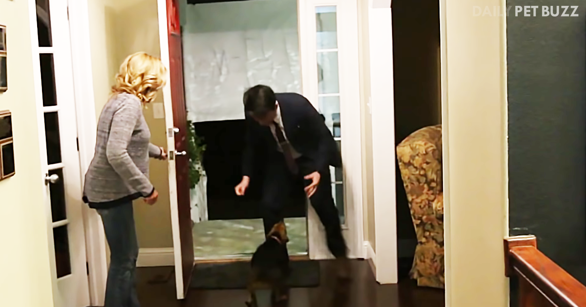 Returning From A Missionary Post After Two Years, This Man Gets The Best Welcome Home From His Dog
