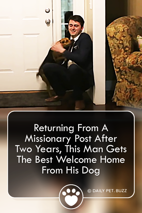 Returning From A Missionary Post After Two Years, This Man Gets The Best Welcome Home From His Dog