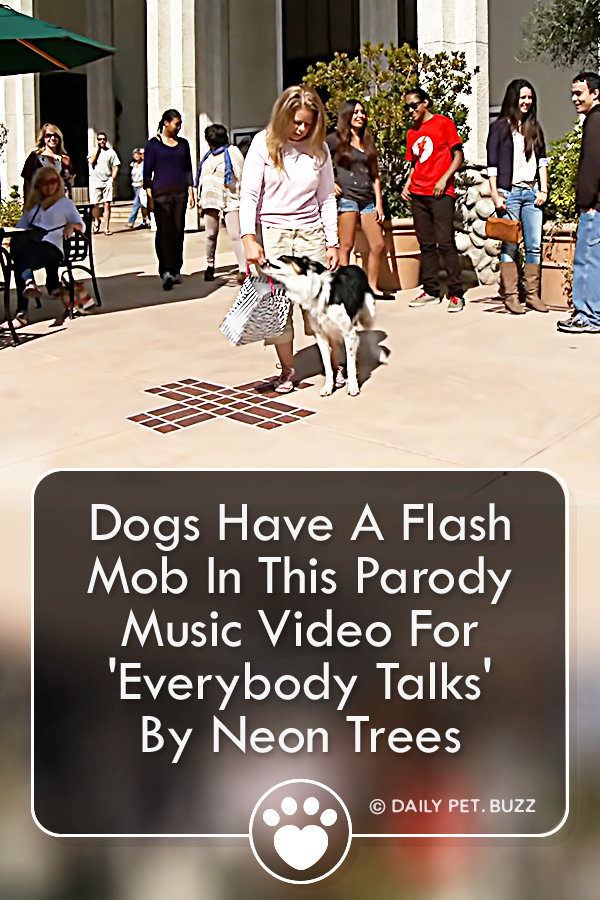 Dogs Have A Flash Mob In This Parody Music Video For \'Everybody Talks\' By Neon Trees