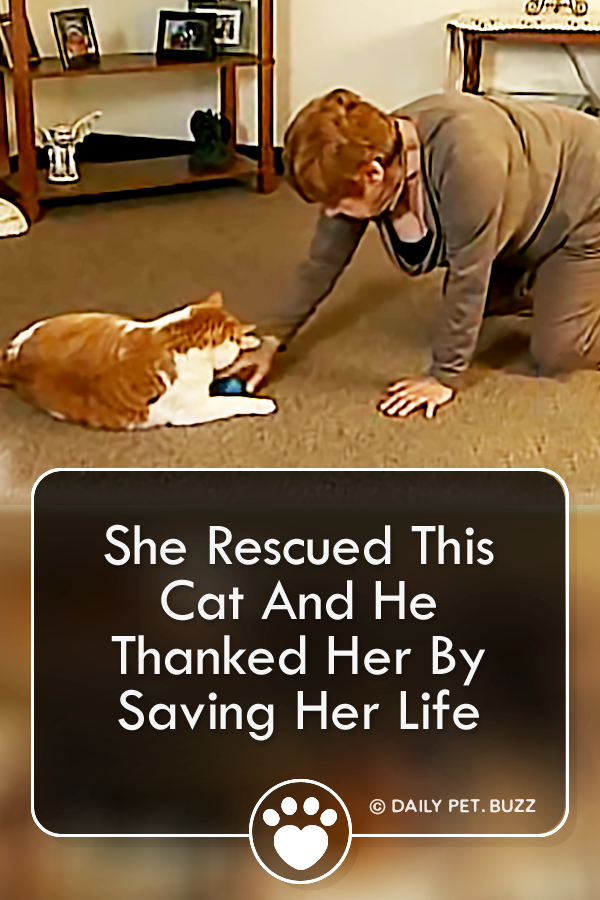 She Rescued This Cat And He Thanked Her By Saving Her Life