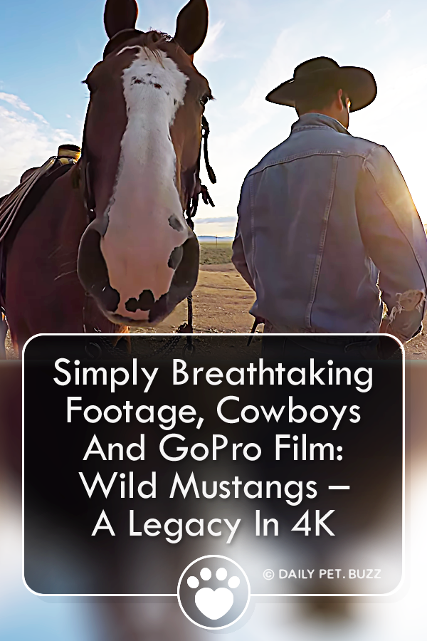 Simply Breathtaking Footage, Cowboys And GoPro Film: Wild Mustangs – A Legacy In 4K