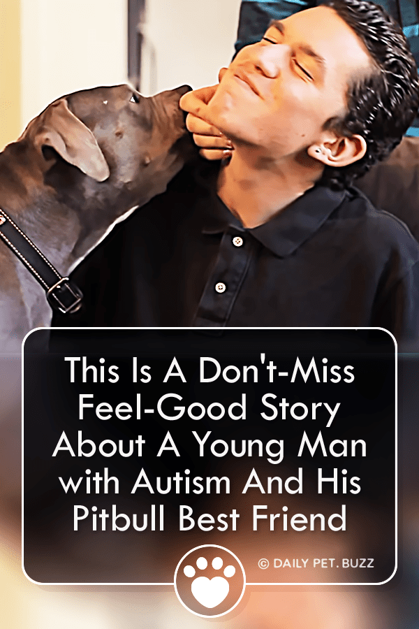 This Is A Don\'t-Miss Feel-Good Story About A Young Man with Autism And His Pitbull Best Friend