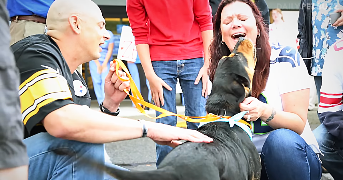 They Were Told Their Beloved Dog Had Died But Then Three Years Later They Got A Call