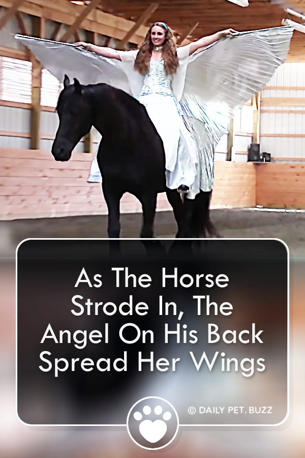 As The Horse Strode In, The Angel On His Back Spread Her Wings