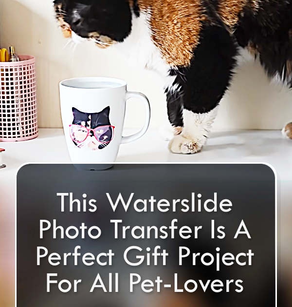 Pinterest Hidden Image