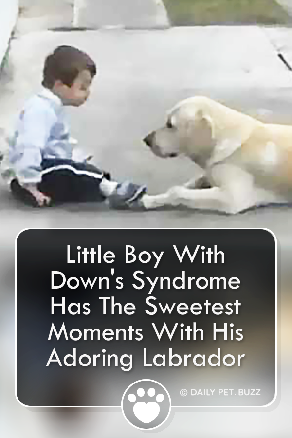 Little Boy With Down\'s Syndrome Has The Sweetest Moments With His Adoring Labrador