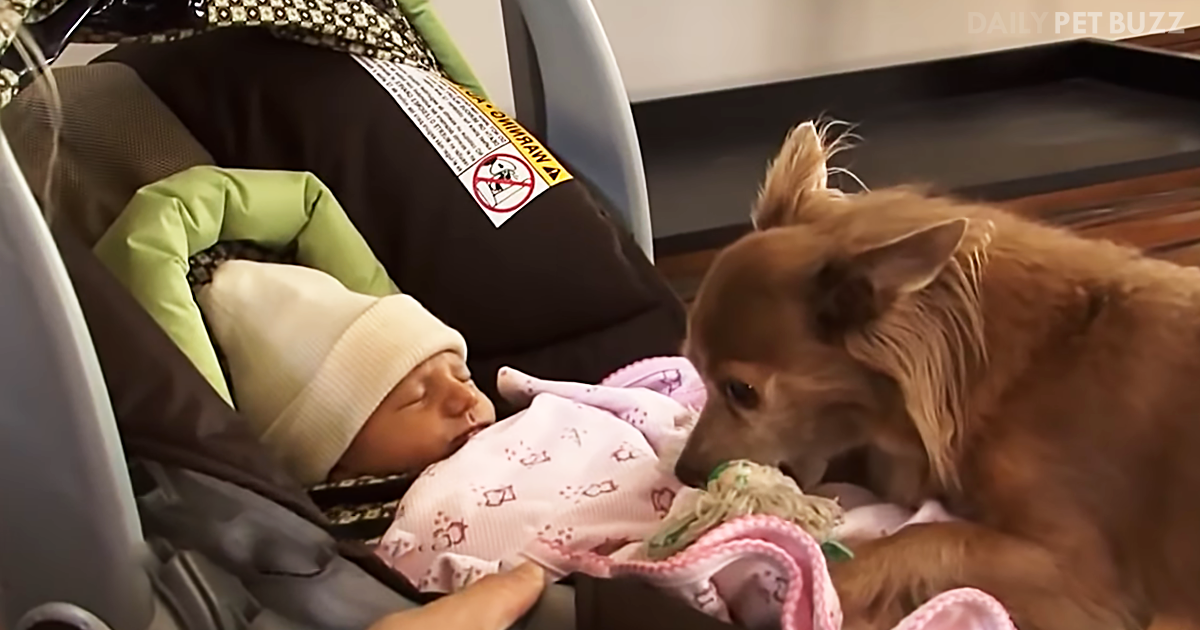 Milo Cannot Contain His Excitement At Meeting His Newborn Sister