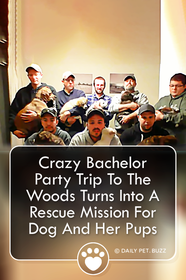 Crazy Bachelor Party Trip To The Woods Turns Into A Rescue Mission For Dog And Her Pups