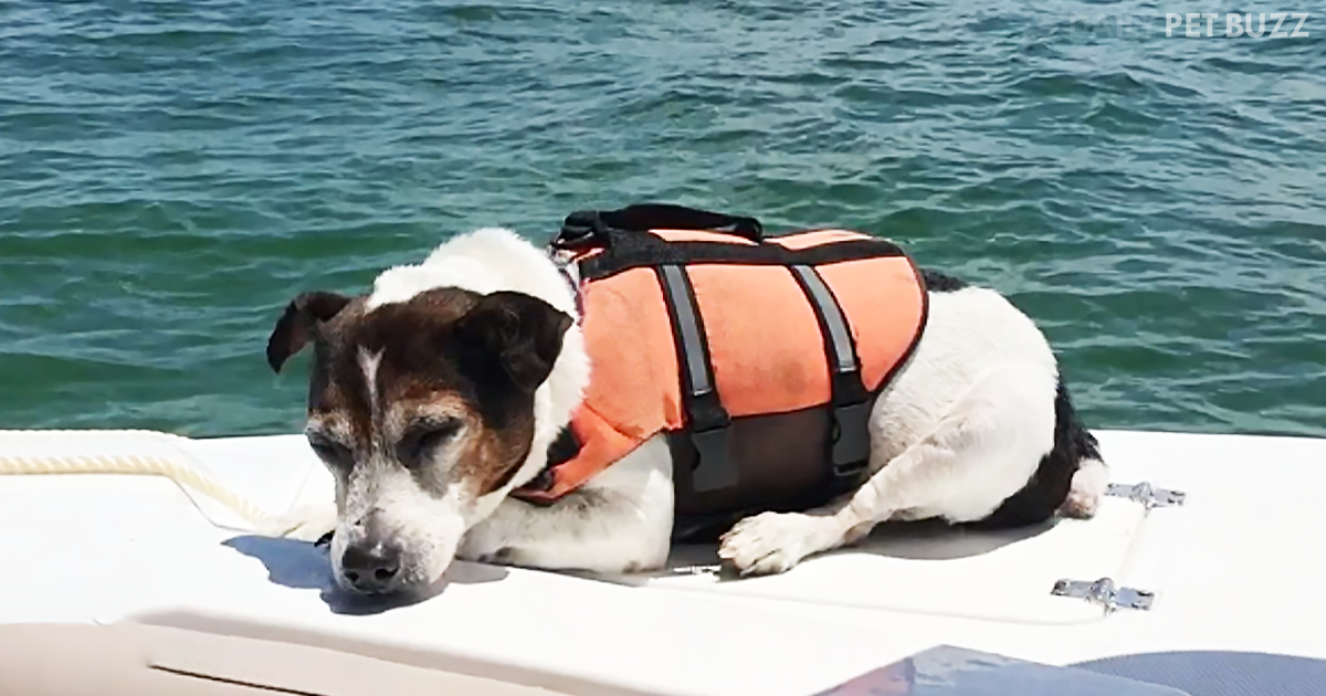 Hoping To Catch Fish Off The Gulf Of Mexico, They Caught Something Very Unexpected Instead