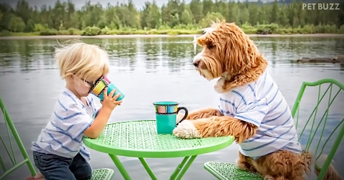 Pure Magic Results When Foster Mother Introduces Foster Child To Dog