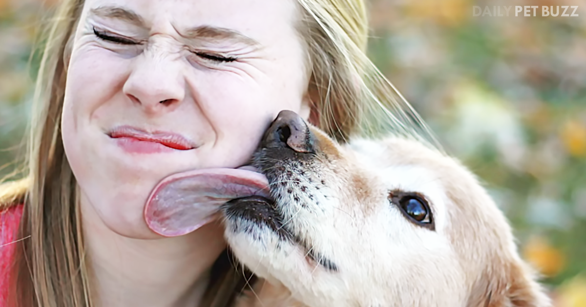 We Sure Do Get Excited And Love It When Our Dogs Give Us 'Kisses.' But, Is It Safe?