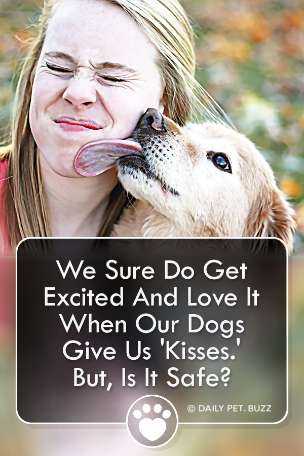 We Sure Do Get Excited And Love It When Our Dogs Give Us \'Kisses.\' But, Is It Safe?