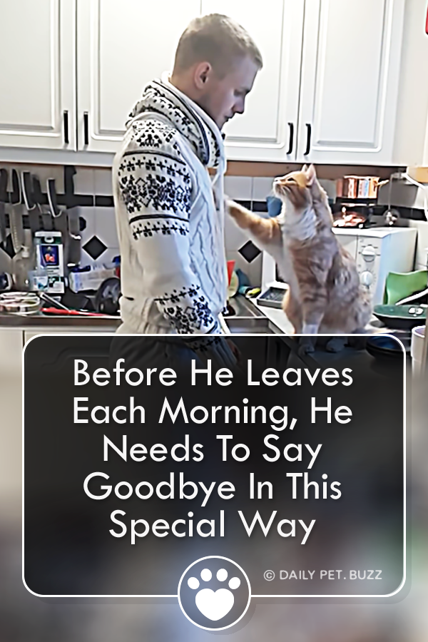 Before He Leaves Each Morning, He Needs To Say Goodbye In This Special Way