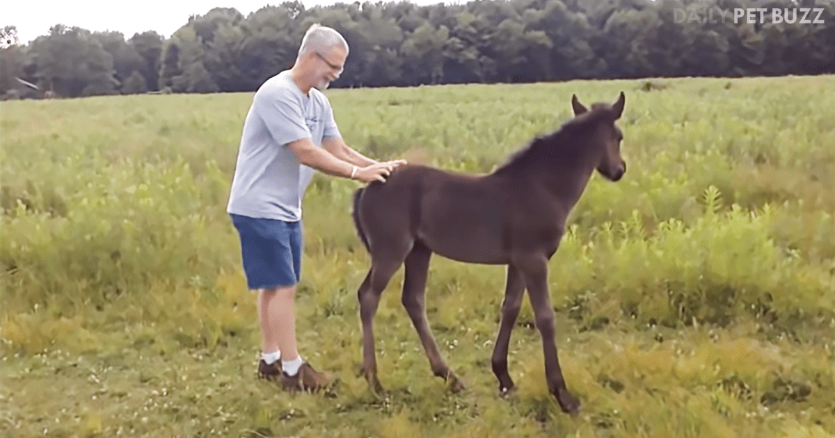 This Little Filly Gets Some Cheeky Revenge When Her Pampering Stops