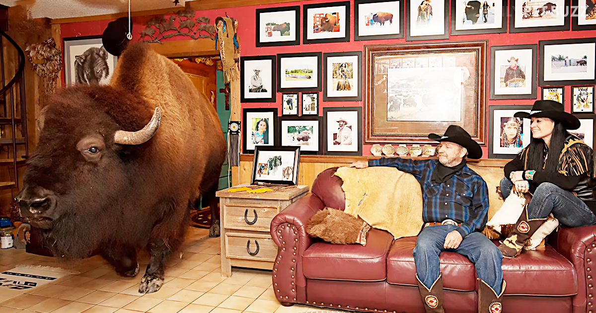 Did You Remember To Let The Buffalo Out? Meet The World's Largest House Pet