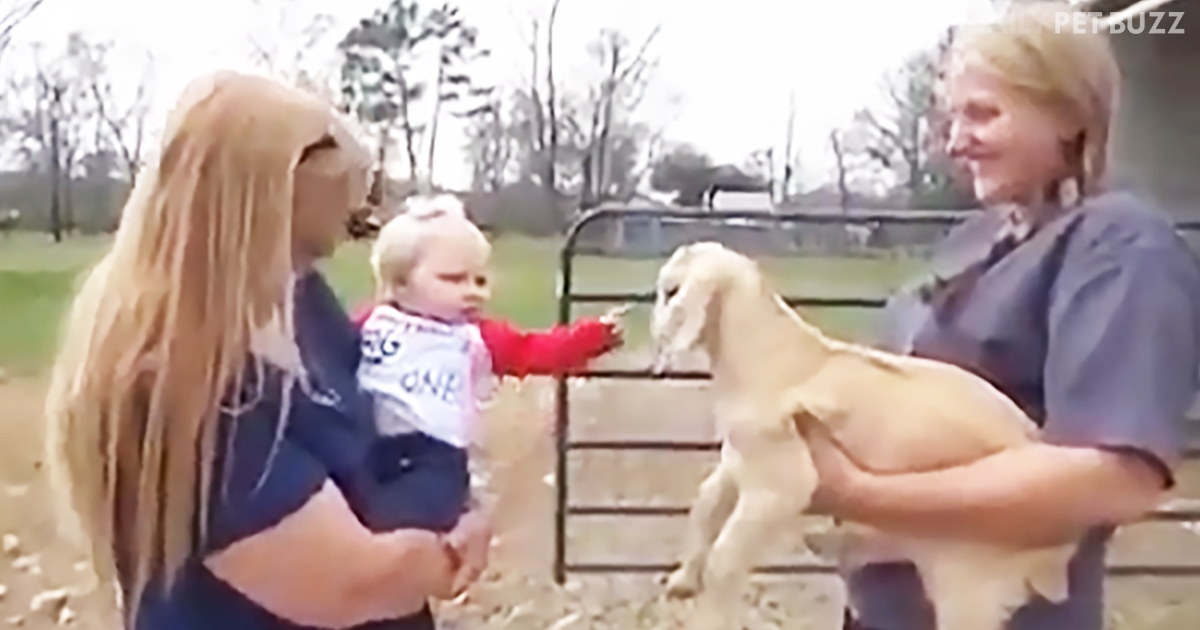 These Two 'Kids' Are Having Quite The Funny Chat And Seem To Understand Each Other Just Fine