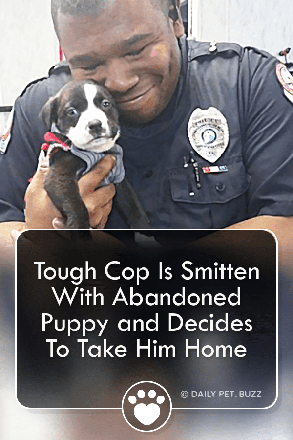 Tough Cop Falls Head Over Heels With Tiny Abandoned Puppy And Decides To Take Him Home