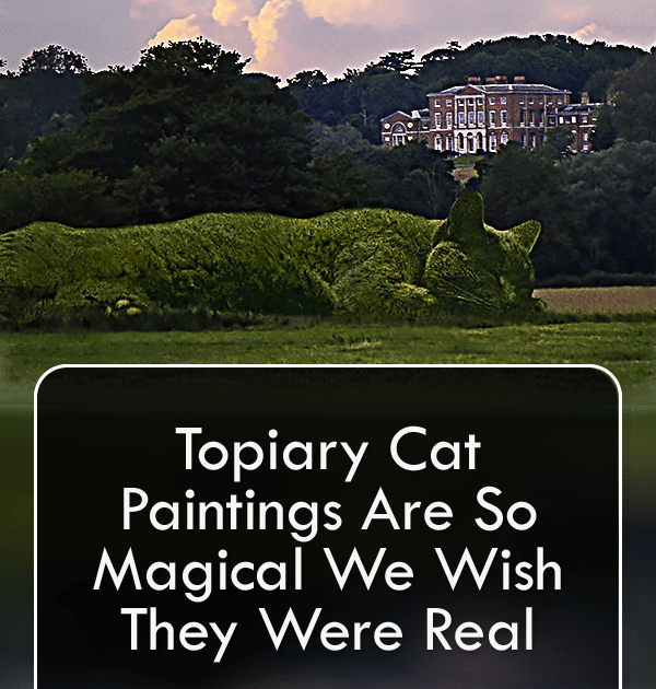 Pinterest Hidden Image