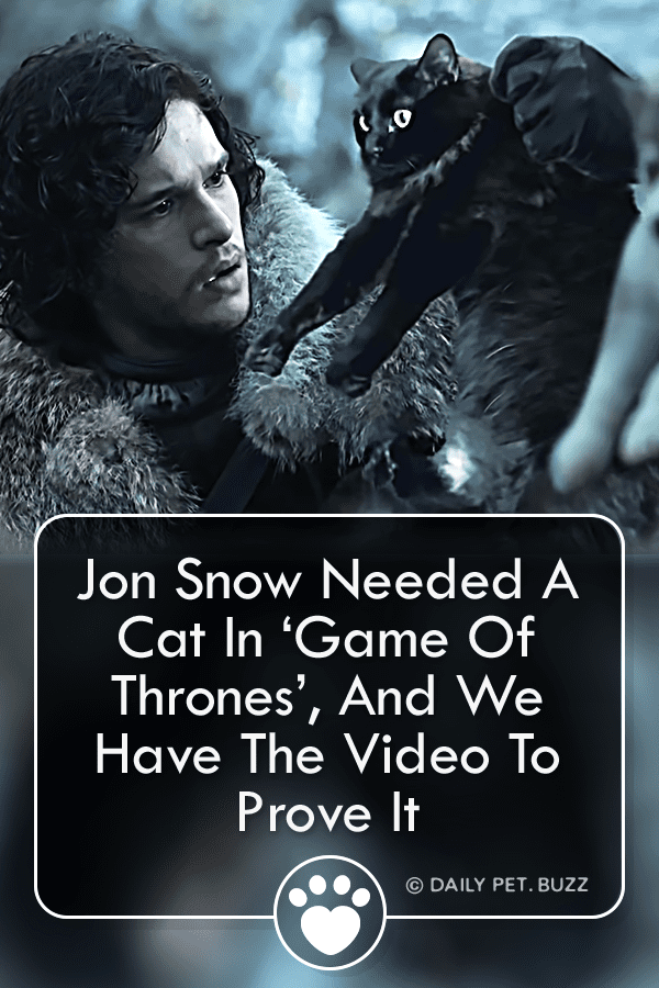 Jon Snow Needed A Cat In ‘Game Of Thrones’, And We Have The Video To Prove It