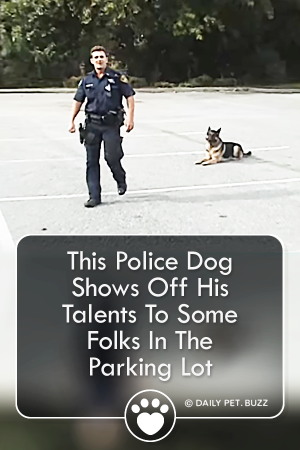 This Police Dog Shows Off His Talents To Some Folks In The Parking Lot