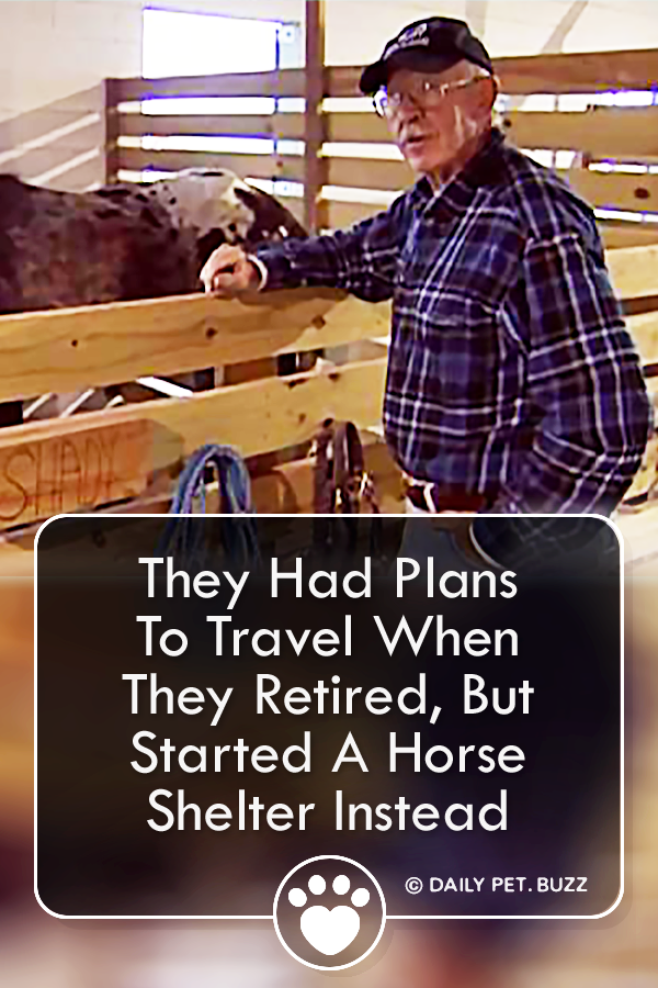 They Had Plans To Travel When They Retired, But Started A Horse Shelter Instead