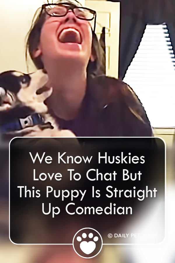 We Know Huskies Love To Chat But This Puppy Is Straight Up Comedian
