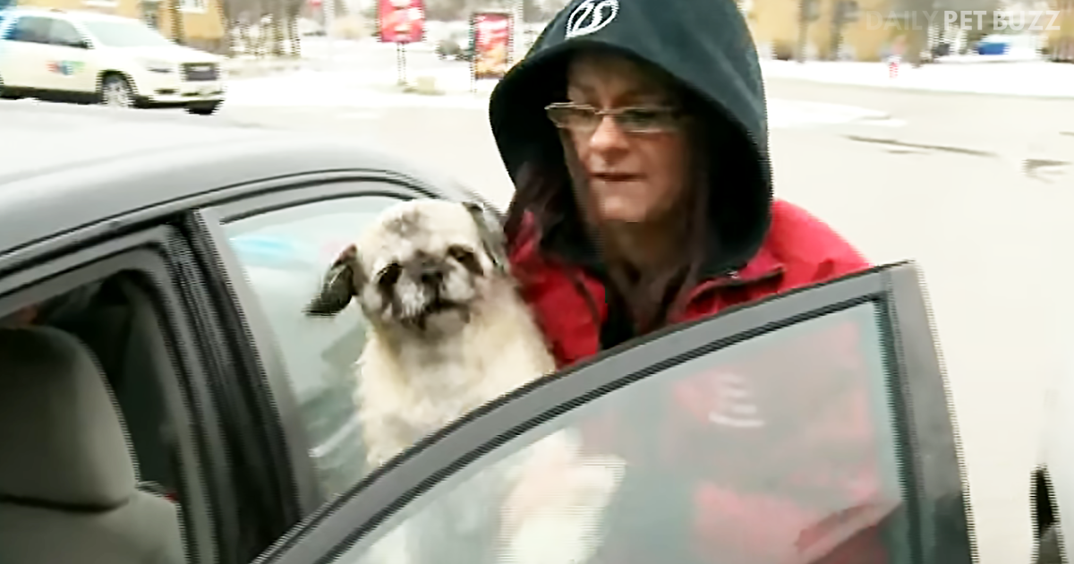 When Her Dog Was Stuck Inside Her Car, This Convenience Store Hero Saved The Day
