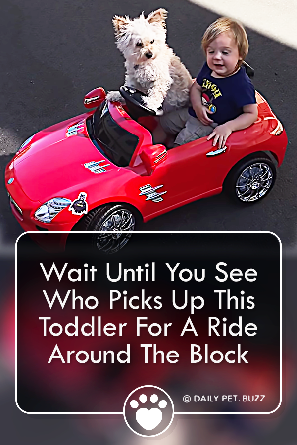 Wait Until You See Who Picks Up This Toddler For A Ride Around The Block