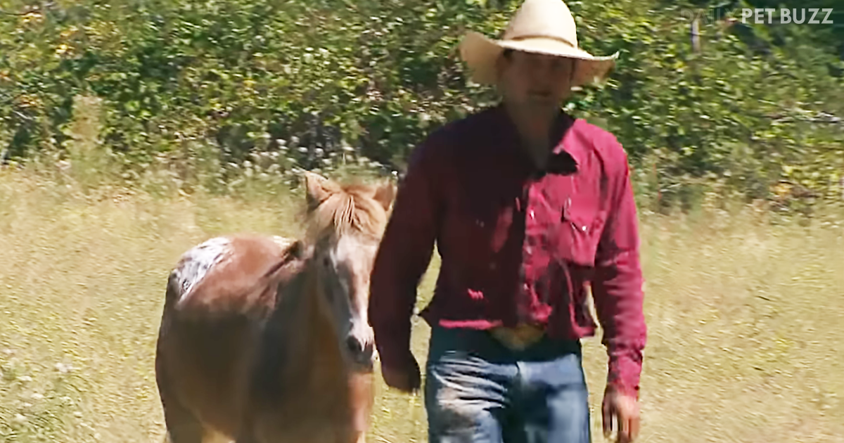 Real-Life Cowboy Rides Through Parking Lot On His Steed And Literally Saves The Day