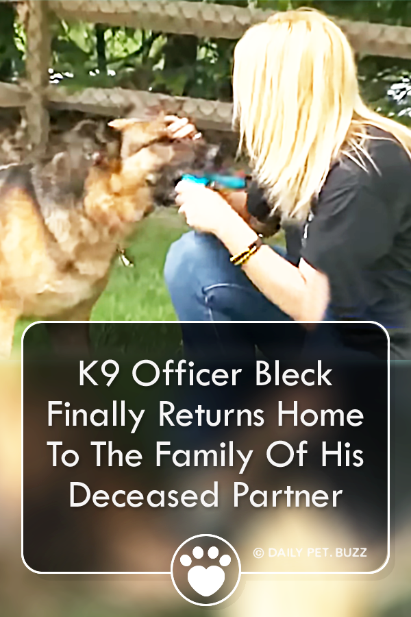 K9 Officer Bleck Finally Returns Home To The Family Of His Deceased Partner