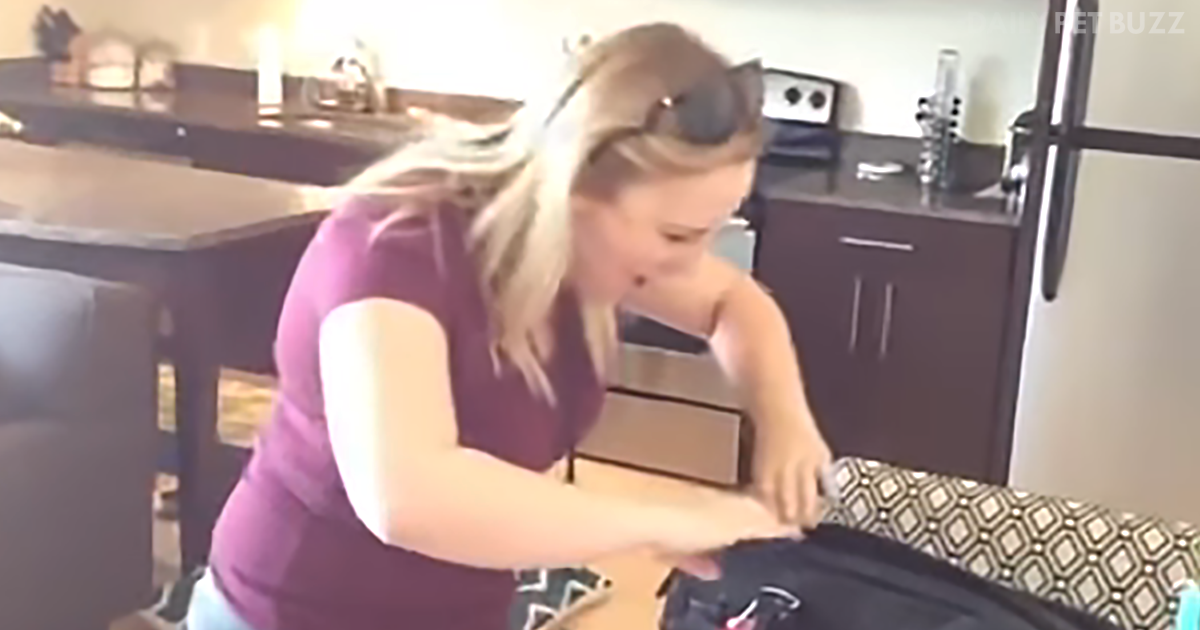 Great Things Come In Small Packages: This Husband Has The Best Anniversary And Birthday Gift For His Wife
