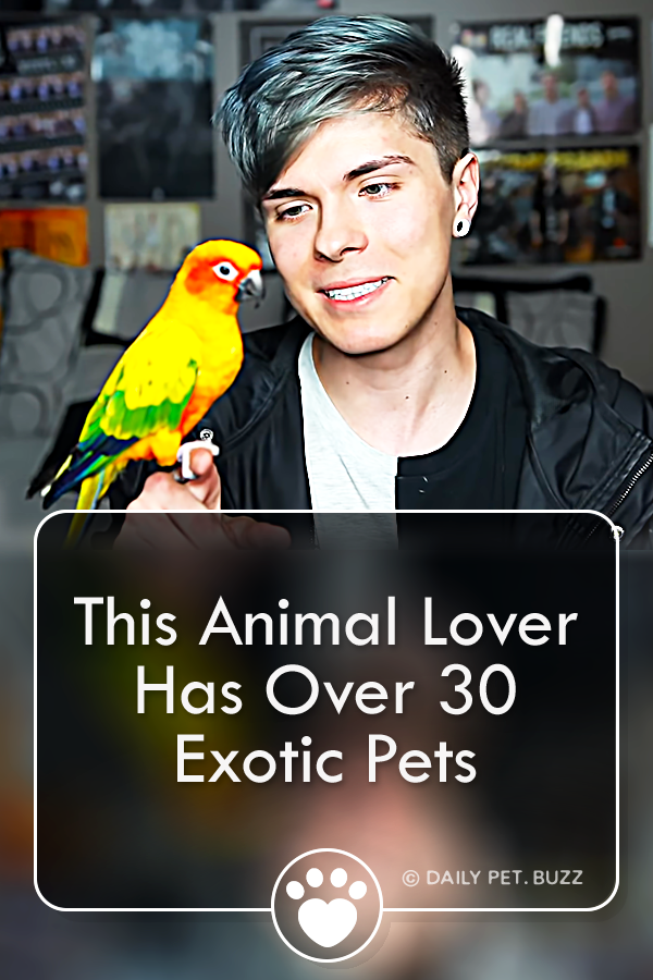 This Animal Lover Has Over 30 Exotic Pets