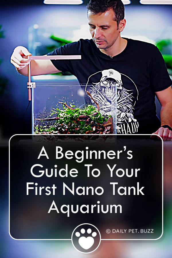 A Beginner’s Guide To Your First Nano Tank Aquarium