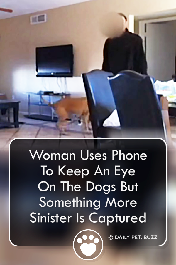 Woman Uses Phone To Keep An Eye On The Dogs But Something More Sinister Is Captured